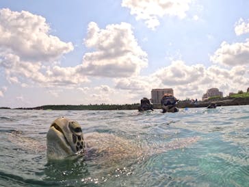 宮古島 ADVENTURE PiPi（ミヤコジマ アドベンチャー ピピ）に投稿された画像（2024/6/4）