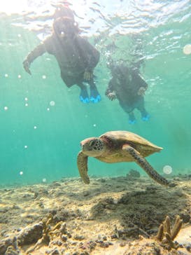 宮古島 ADVENTURE PiPi（ミヤコジマ アドベンチャー ピピ）に投稿された画像（2024/6/4）