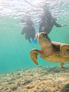 宮古島 ADVENTURE PiPi（ミヤコジマ アドベンチャー ピピ）に投稿された画像（2024/6/4）