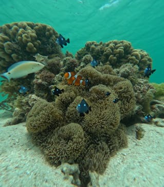 nico 宮古島に投稿された画像（2024/6/4）