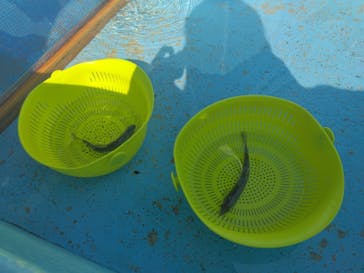 NESTA RESORT KOBE（ネスタリゾート神戸）に投稿された画像（2024/6/4）