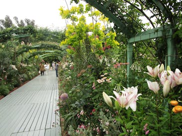 浜名湖花博2024に投稿された画像（2024/6/4）