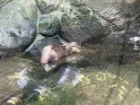ひらかたパークに投稿された画像（2024/6/5）