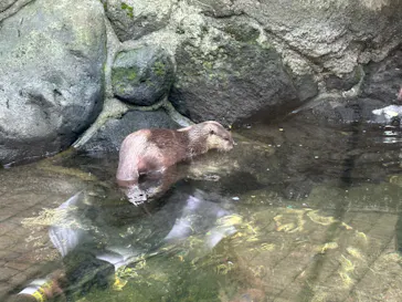 ひらかたパークに投稿された画像（2024/6/4）