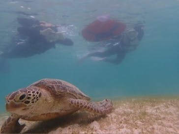 nico 宮古島に投稿された画像（2024/6/4）