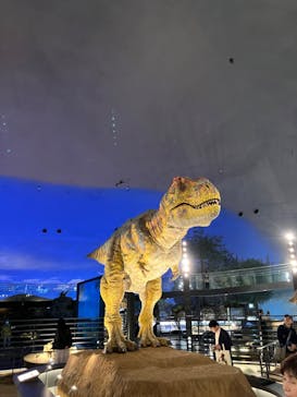 福井県立恐竜博物館に投稿された画像（2024/4/12）