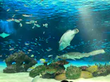 サンシャイン水族館に投稿された画像（2023/8/30）