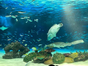 サンシャイン水族館に投稿された画像（2023/8/30）