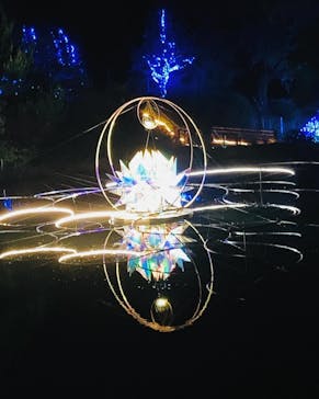 KYOTO ILLUMINATION SYNESTHESIA HILLS るり渓温泉に投稿された画像（2024/6/4）