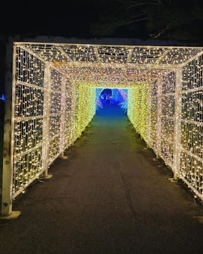 KYOTO ILLUMINATION SYNESTHESIA HILLS るり渓温泉に投稿された画像（2024/6/4）