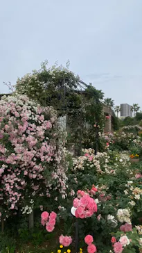 ひらかたパークに投稿された画像（2024/6/5）