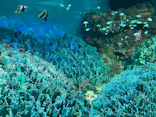 サンシャイン水族館に投稿された画像（2024/6/5）