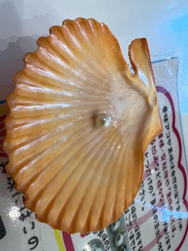 沖縄美ら海水族館に投稿された画像（2024/6/5）