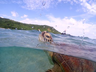 初心者専門宮古島シュノーケリングツアーに投稿された画像（2024/6/5）
