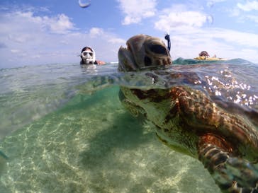 宮古島マリンショップSmileyに投稿された画像（2024/6/5）