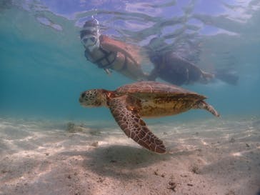 宮古島マリンショップSmileyに投稿された画像（2024/6/5）