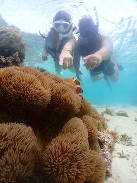 宮古島マリンショップSmileyに投稿された画像（2024/6/5）