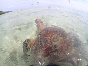 宮古島マリンショップSmileyに投稿された画像（2024/6/5）