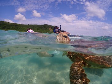宮古島マリンショップSmileyに投稿された画像（2024/6/5）