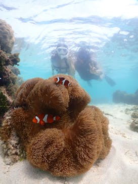 宮古島マリンショップSmileyに投稿された画像（2024/6/5）