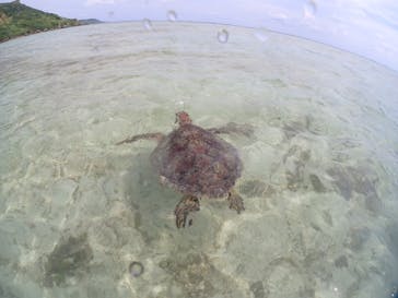 宮古島マリンショップSmileyに投稿された画像（2024/6/5）