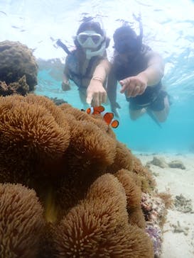 宮古島マリンショップSmileyに投稿された画像（2024/6/5）