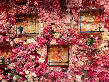 NARA KINGYO MUSEUMに投稿された画像（2024/6/5）