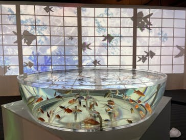 NARA KINGYO MUSEUMに投稿された画像（2024/6/5）