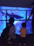 すみだ水族館に投稿された画像（2024/6/5）