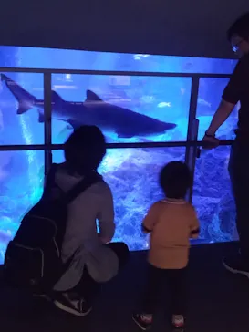 すみだ水族館に投稿された画像（2024/6/5）