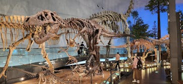 福井県立恐竜博物館に投稿された画像（2024/6/5）