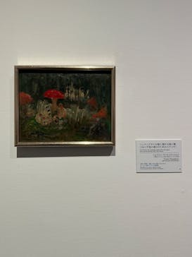 北欧の神秘（ＳＯＭＰＯ美術館）に投稿された画像（2024/6/5）