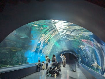 マクセル アクアパーク品川に投稿された画像（2024/6/5）