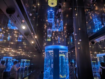 マクセル アクアパーク品川に投稿された画像（2024/6/5）