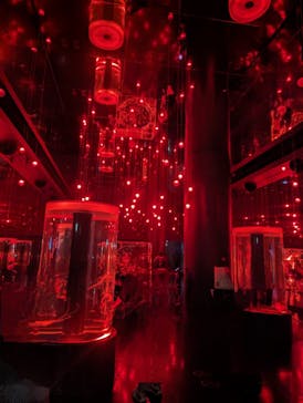 マクセル アクアパーク品川に投稿された画像（2024/6/5）