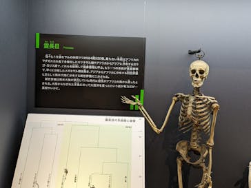 特別展「大哺乳類展３－わけてつなげて大行進」に投稿された画像（2024/6/5）