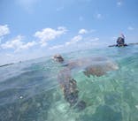 宮古島 ADVENTURE PiPi（ミヤコジマ アドベンチャー ピピ）に投稿された画像（2024/6/5）