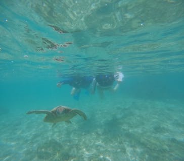 宮古島 ADVENTURE PiPi（ミヤコジマ アドベンチャー ピピ）に投稿された画像（2024/6/5）