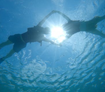 宮古島 ADVENTURE PiPi（ミヤコジマ アドベンチャー ピピ）に投稿された画像（2024/6/5）