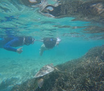 宮古島 ADVENTURE PiPi（ミヤコジマ アドベンチャー ピピ）に投稿された画像（2024/6/5）