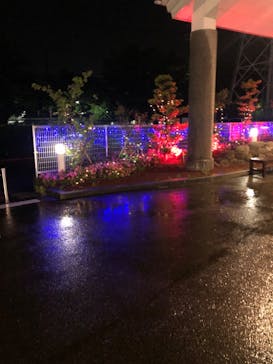 ととのいの郷　秦野湯花楽に投稿された画像（2024/6/5）