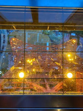 東京タワーに投稿された画像（2024/6/5）