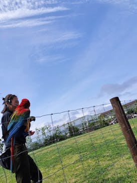 神戸どうぶつ王国に投稿された画像（2024/6/5）