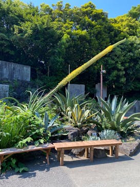 伊豆シャボテン動物公園に投稿された画像（2024/6/5）