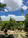 天王寺動物園に投稿された画像（2024/6/5）