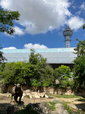 天王寺動物園に投稿された画像（2024/6/5）