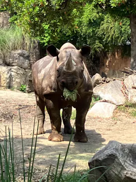 天王寺動物園に投稿された画像（2024/6/5）