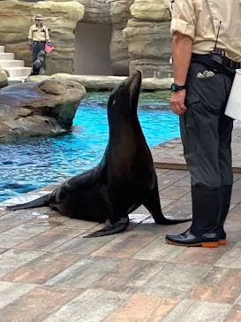 天王寺動物園に投稿された画像（2024/6/5）