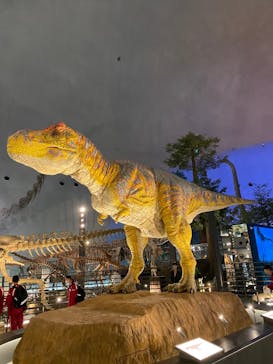 福井県立恐竜博物館に投稿された画像（2024/6/5）