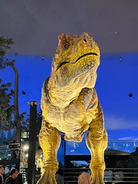 福井県立恐竜博物館に投稿された画像（2024/6/5）